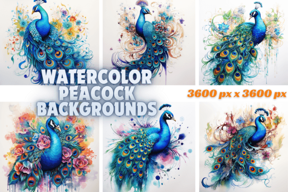 Elevate Your Designs with Watercolor Peacock Backgrounds